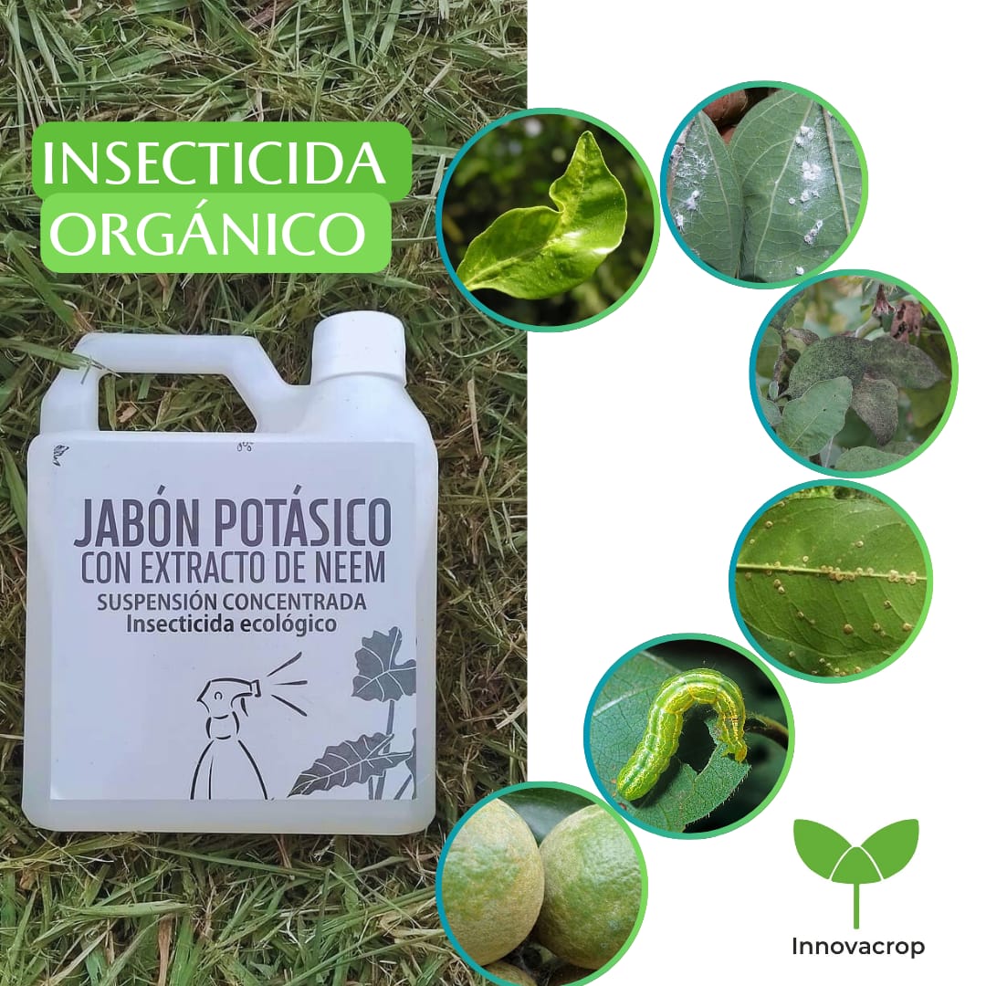 Jabón Potásico + Aceite de Neem